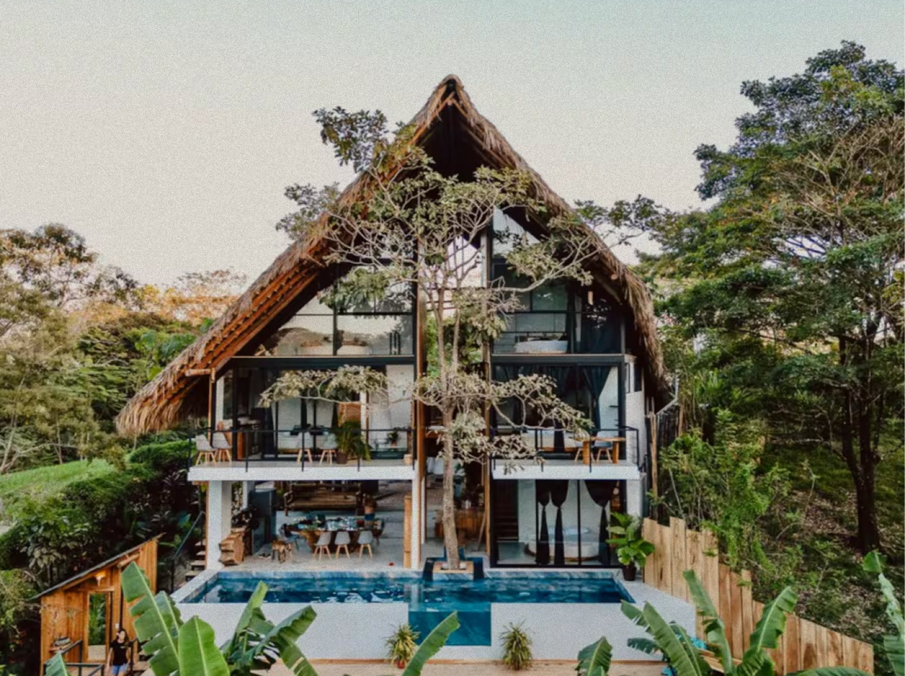 The Nëst in the jungle at dusk