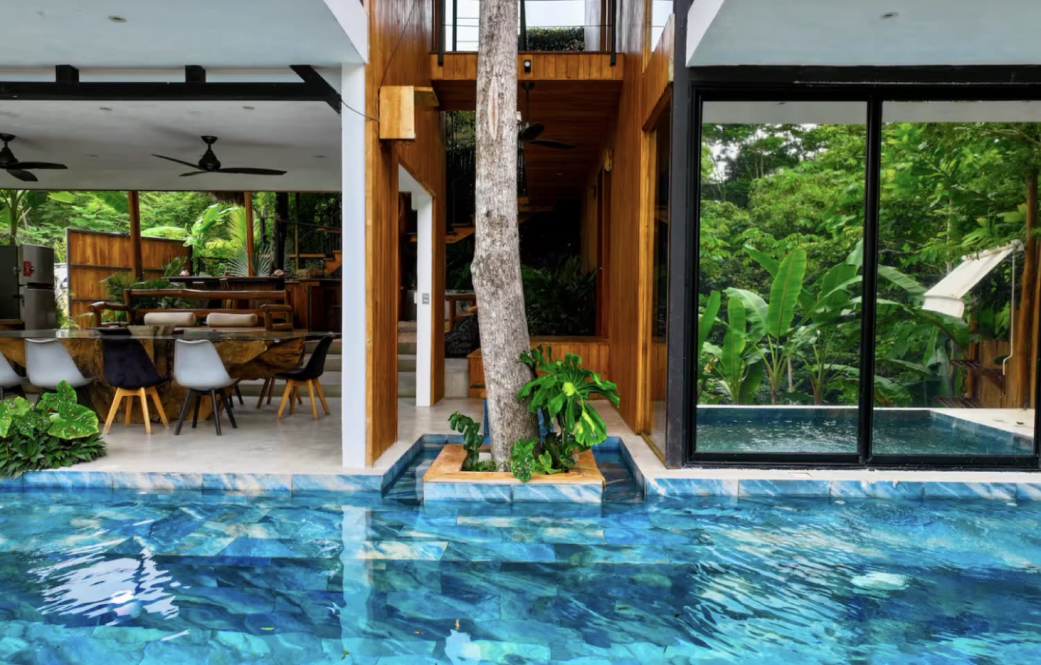 The long pool, built around a tree