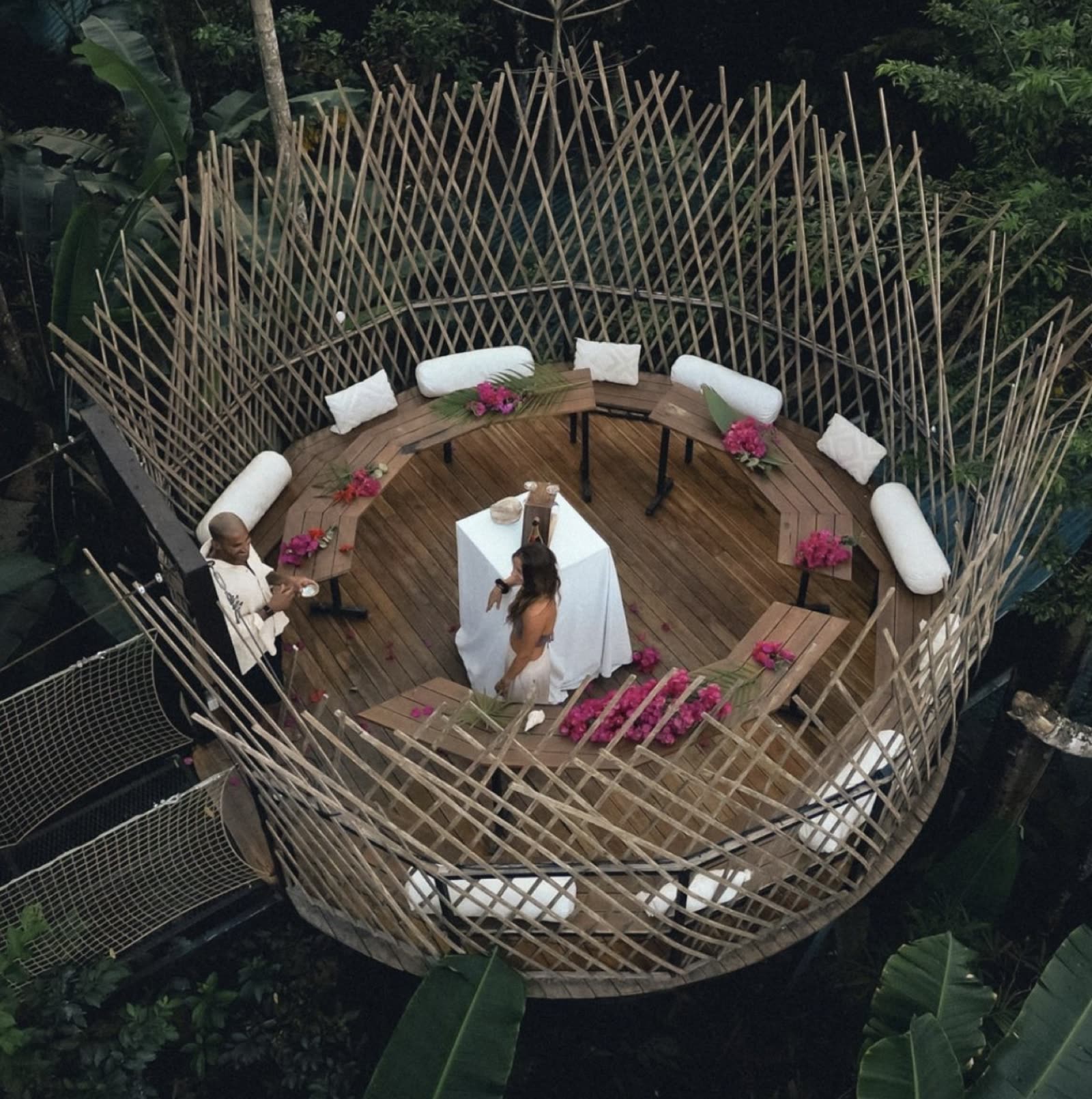 The suspended nest among the trees